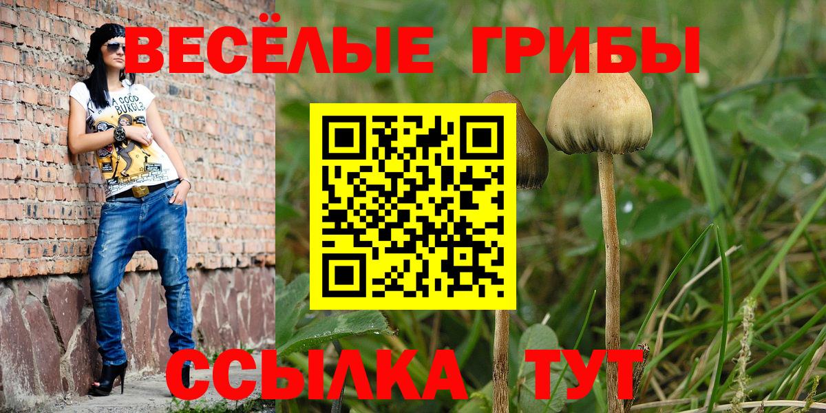 Галлюциногенные грибы ЛСД Добрянка