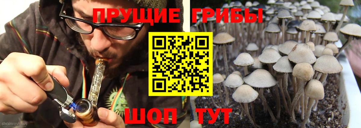 Псилоцибиновые грибы Cubensis  Вход с VPN  Добрянка  Псилоцибиновые грибы Cubensis 